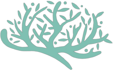 Rocío Díez Cabeza Logo